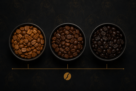 Light, medium, and dark roast coffee beans compared — Bean Reaper